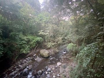 Terreno en el centro de Comala