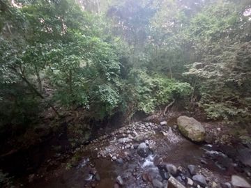 Terreno en el centro de Comala