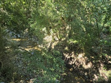 Terreno en el centro de Comala