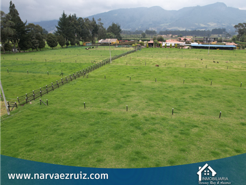 Vendo Hermosa Finca 5 Fanegadas Planas en Tenjo