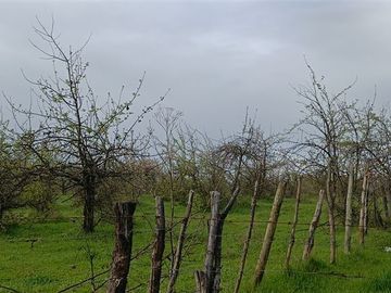 Industrial en Venta en Panamericana Sur 2310, Chillán Viejo, Bío Bío