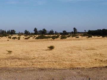 Parcela en Venta en Km 7 camino a Cato en Sector Camino del Agua