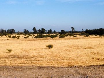Parcela en Venta en Km 7 camino a Cato en Sector Camino del Agua
