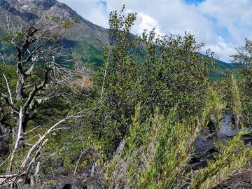 Terreno Construccion  en Venta en Km 69, Valle las Trancas, Pinto