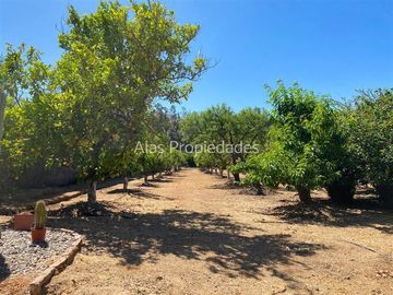 Casa en Venta en Lomas de Puangue | Casa en Parcela en Venta (3D3B) | Alas Propiedades