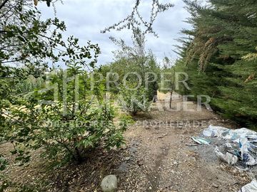 Local Comercial en Venta en Amplia Casa de 333 m2 en Terreno de 5.400 m2