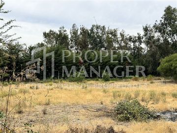 Local Comercial en Venta en Amplia Casa de 333 m2 en Terreno de 5.400 m2