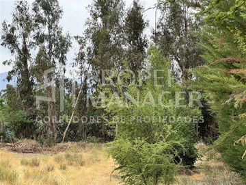 Local Comercial en Venta en Amplia Casa de 333 m2 en Terreno de 5.400 m2