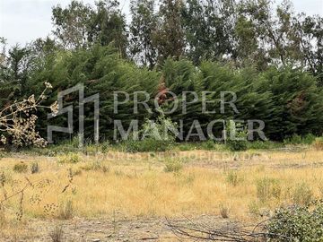 Local Comercial en Venta en Amplia Casa de 333 m2 en Terreno de 5.400 m2