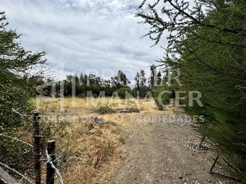 Local Comercial en Venta en Amplia Casa de 333 m2 en Terreno de 5.400 m2