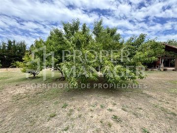 Local Comercial en Venta en Amplia Casa de 333 m2 en Terreno de 5.400 m2