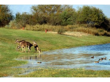 DEPARTAMENTO EN PREVENTA LAS AVES CLUB DE GOLF LAS AVES PESQUERIA