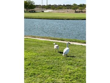 DEPARTAMENTO EN PREVENTA LAS AVES CLUB DE GOLF LAS AVES PESQUERIA