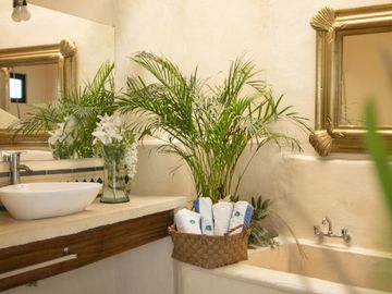 Casa en centro de Merida a 3 cuadras de Paseo Montejo, una planta, amueblada