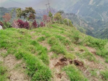 Venta de Finca - Pácora - Caldas.