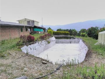 Venta de Finca - Pácora - Caldas.