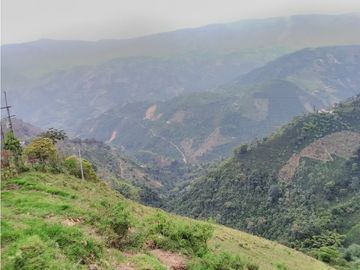 Venta de Finca - Pácora - Caldas.