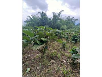 Venta Finca Calarca Quindio COD: 4303070