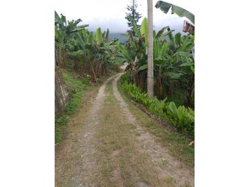 Venta Finca Calarca Quindio COD: 4303070
