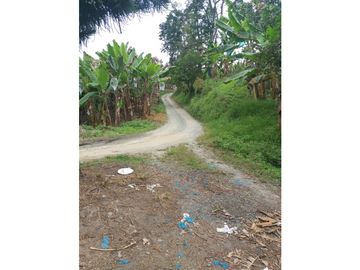 Venta Finca Calarca Quindio COD: 4303070