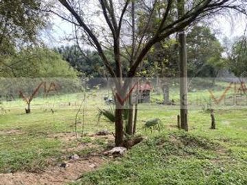 La Tinaja
