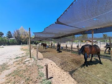 Agrícola en Venta en Condominio Valle Ecuestre