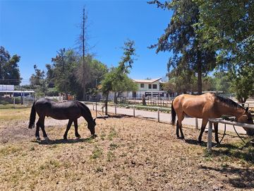 Agrícola en Venta en Condominio Valle Ecuestre