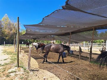 Parcela en Venta en Condominio Valle Ecuestre
