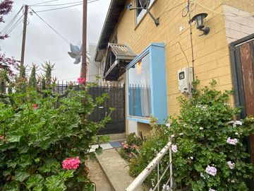 Venta de Casa Pareo Simple sector Troncos Viejos Villa Alema
