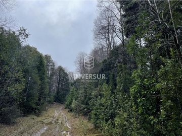 520 HEC DE TERRENO FORESTAL LA UNION