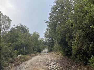 520 HEC DE TERRENO FORESTAL LA UNION