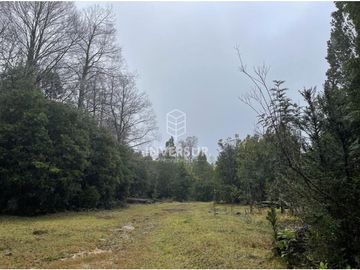520 HEC DE TERRENO FORESTAL LA UNION