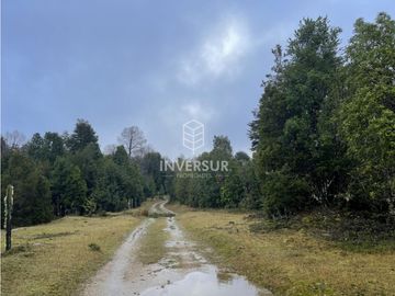 520 HEC DE TERRENO FORESTAL LA UNION