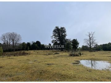 520 HEC DE TERRENO FORESTAL LA UNION