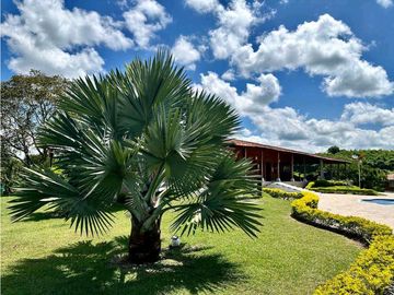 Finca Agroturismo En Venta En Alcala-Valle