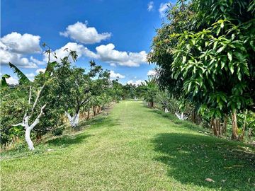 Finca Agroturismo En Venta En Alcala-Valle