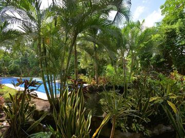VILLA ALMA DE SELVA