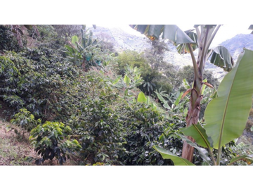 VENTA O PERMUTA DE FINCA EN BELEN DE UMBRIA