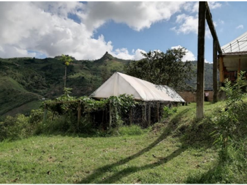 VENTA O PERMUTA DE FINCA EN BELEN DE UMBRIA