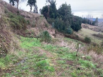 Parcela en Venta en Piedra Mesa, Lago Ranco
