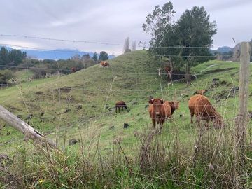 Parcela en Venta en Piedra Mesa, Lago Ranco
