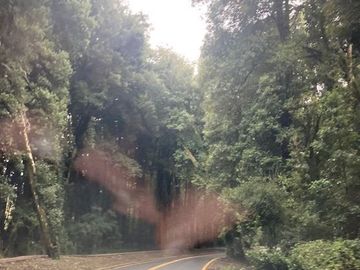 Parcela en Venta en Puerto Lapí, Rio Bueno