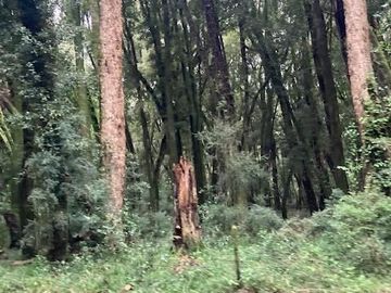 Parcela en Venta en Puerto Lapí, Rio Bueno