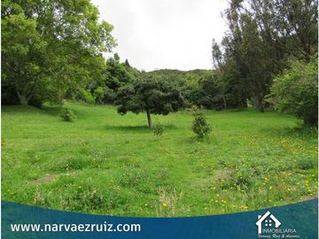 Vendo Finca en Tabio Vereda Juaica