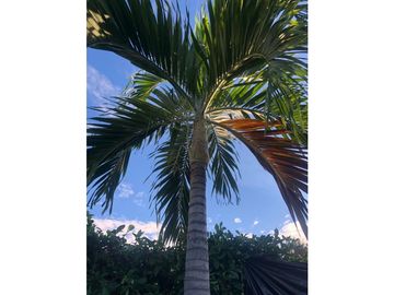 Venta Casa Campo, Girardot