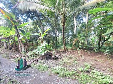 VENDO FINCA DE 10HECTAREAS + PROGRESO