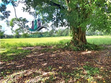 VENDO FINCA DE 10HECTAREAS + PROGRESO