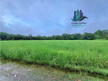 VENDO FINCA DE 10HECTAREAS + PROGRESO