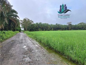 VENDO FINCA DE 10HECTAREAS + PROGRESO