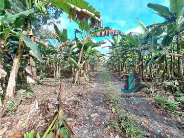 VENDO FINCA DE 10HECTAREAS + PROGRESO